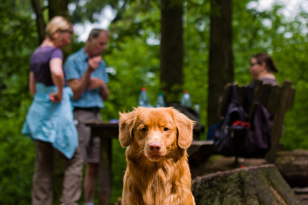 Edisons Kopf im Vordergrund, im Hintergrund sind Sigrid, Theo und Julia zu sehen