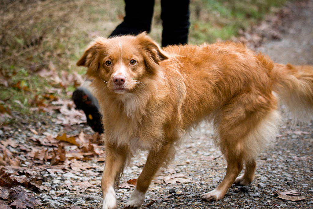 Frieda in Nahaufnahme während sie sich gerade umdreht