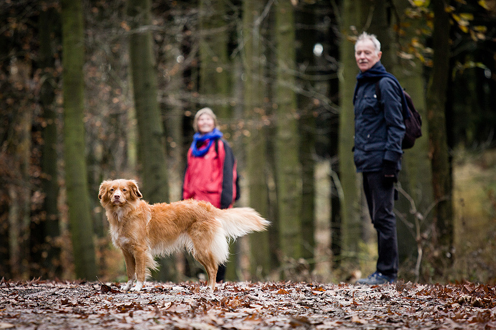 Frieda steht seitlich mitten auf dem Waldweg und schaut wie Sigrid und Theo im Hintergrund in die Kamera