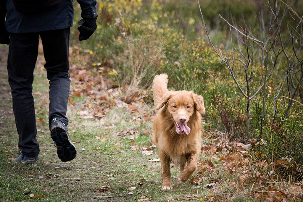 Edison läuft lächelnd und mit heraushängender Zunge an Theo vorbei auf die Kamera zu
