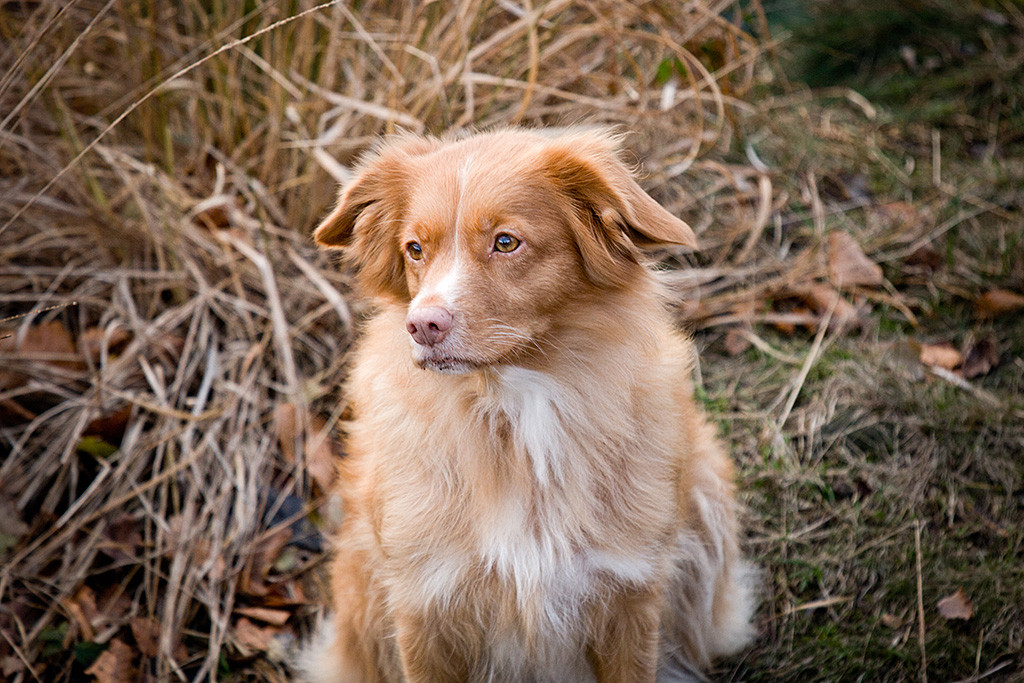Friedas Kopf und Front in Nahaufnahme, sie schaut schmachtend leicht an der Kamera vorbei