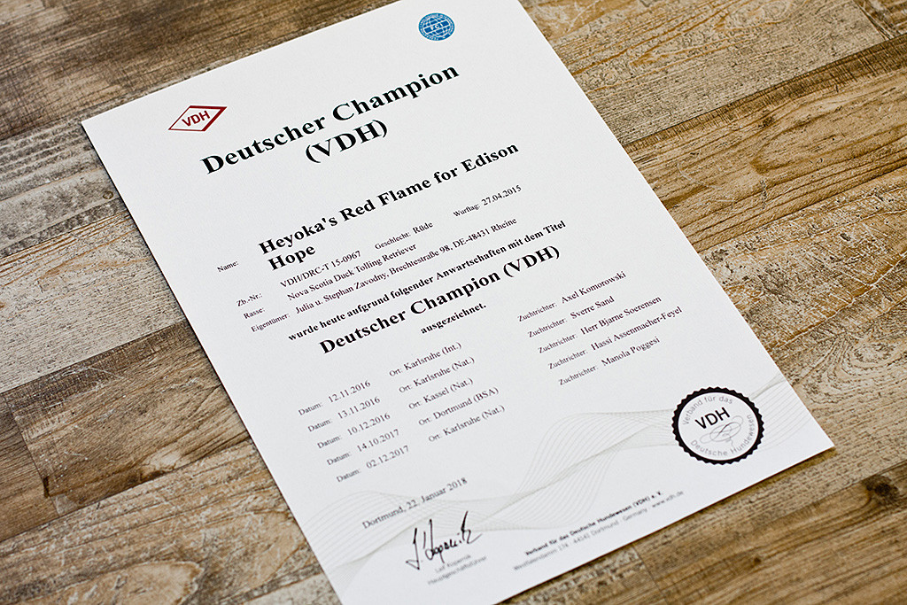 Edisons Urkunde zum Deutschen Champion VDH