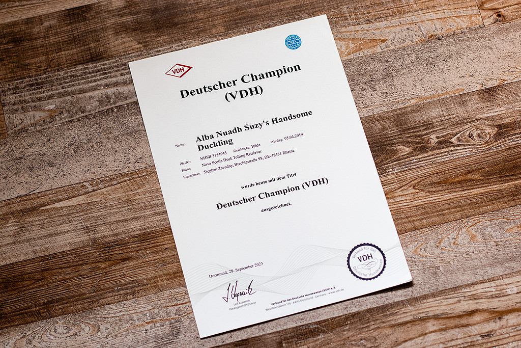 Newtons Urkunde zum deutschen Champion (VDH)