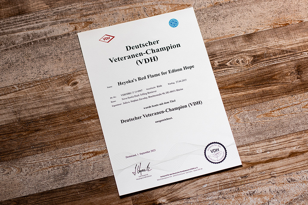 Edisons Urkunde zum deutschen Veteranen-Champion (VDH)