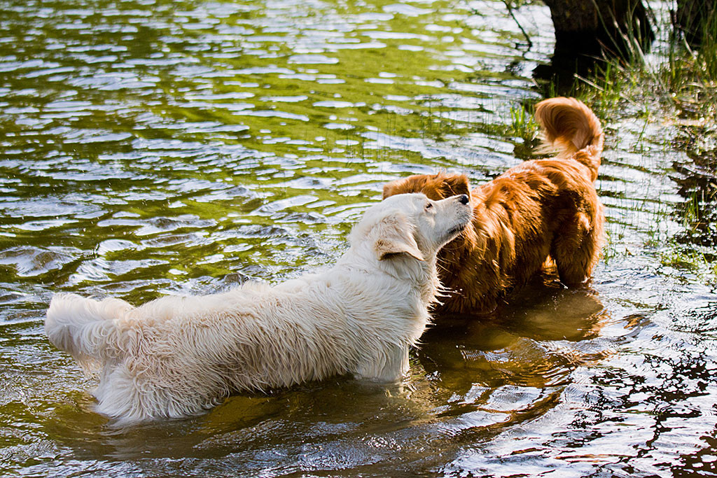 Edison und Emma stehen beide eng aneinander bis zum Bauch im Wasser