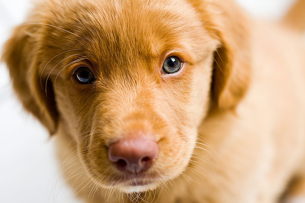 Großaufnahme von Edisons Gesicht