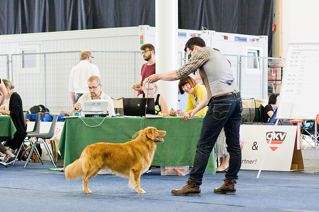Edison steht an Stephans Seite vor dem Richtertisch, dahinter lächelt die Richterin in seine Richtung