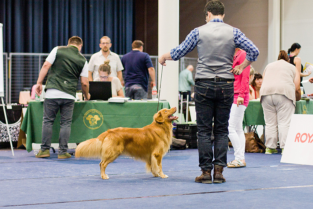 Edison steht vor Stephan und himmelt ihn an während die Richterin ihn sich anschaut