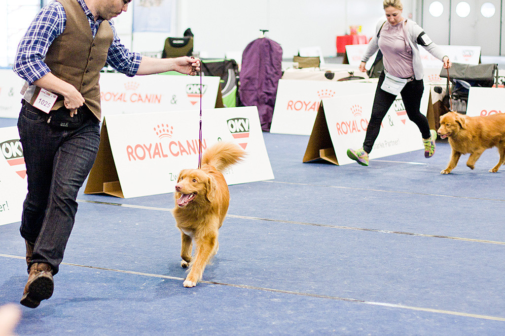 Edison läuft lächelnd an Stephans Seite durch den Ring