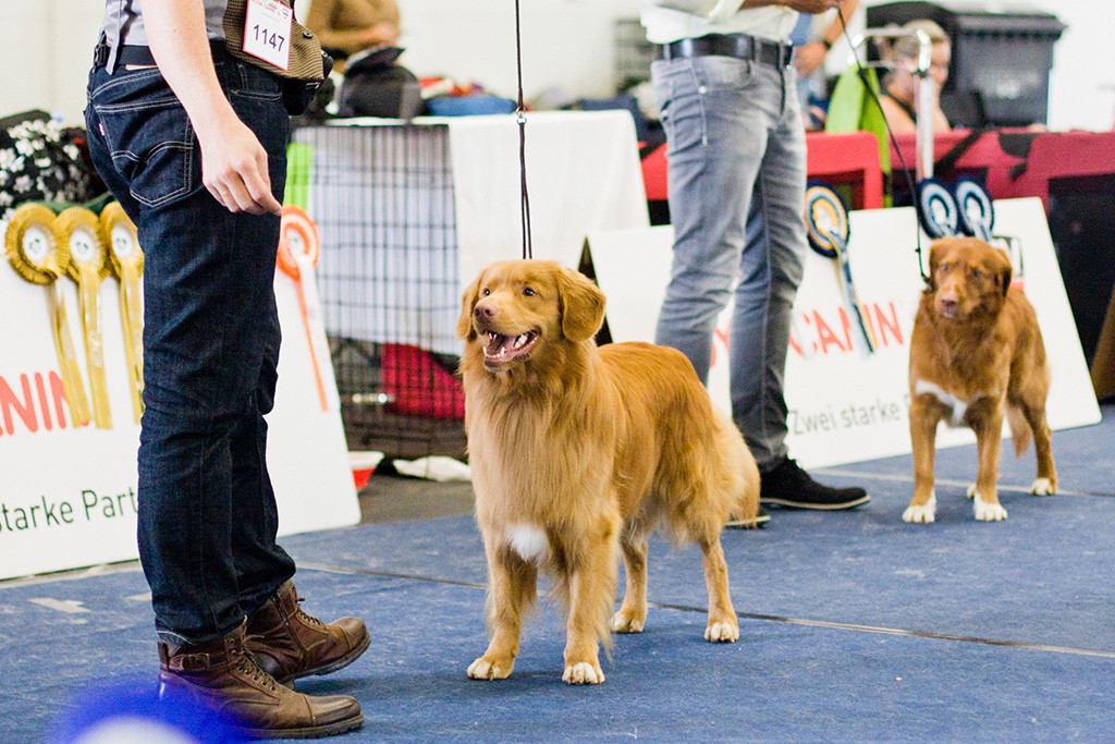 Edison schaut mit lächelndem Blick zu Stephans Hand und steht dabei wie eine Eins