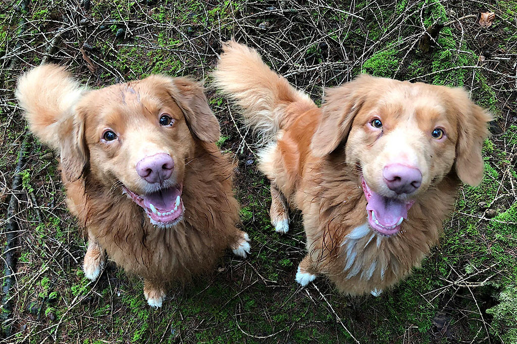 Edison und Newton sitzen auf Waldboden und schauen lächelnd nach oben