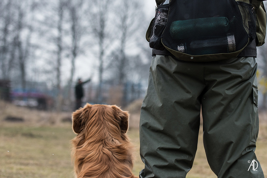 Edison sitzt neben Stephan, beide schauen in die Ferne, wo Thomas zum Schuss ansetzt