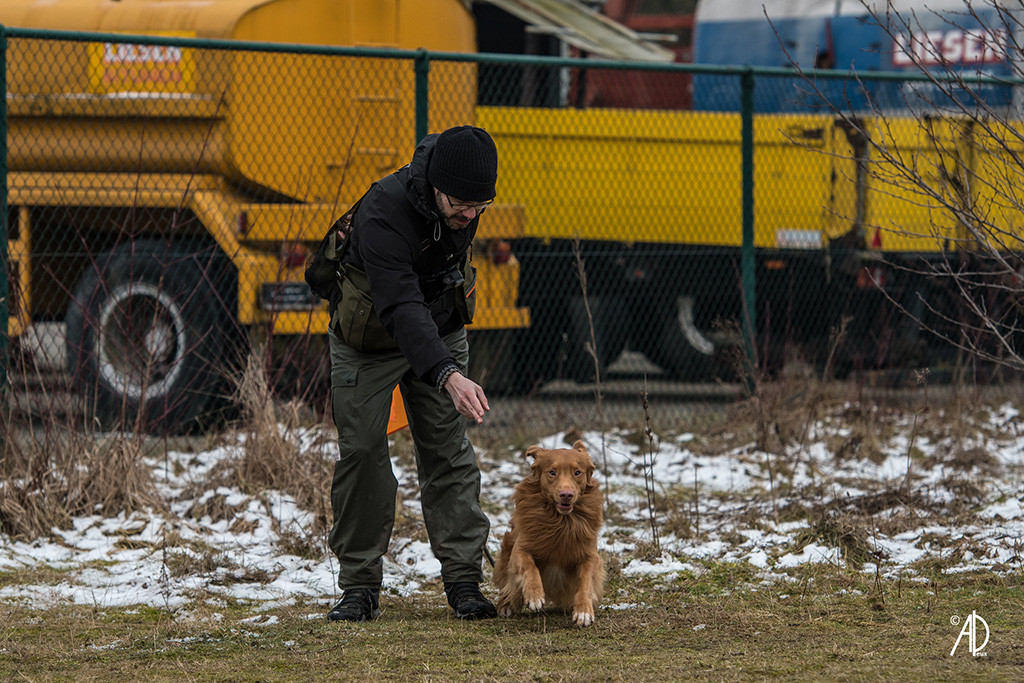Edison wird von Stephan geschickt und startet voller Energie durch