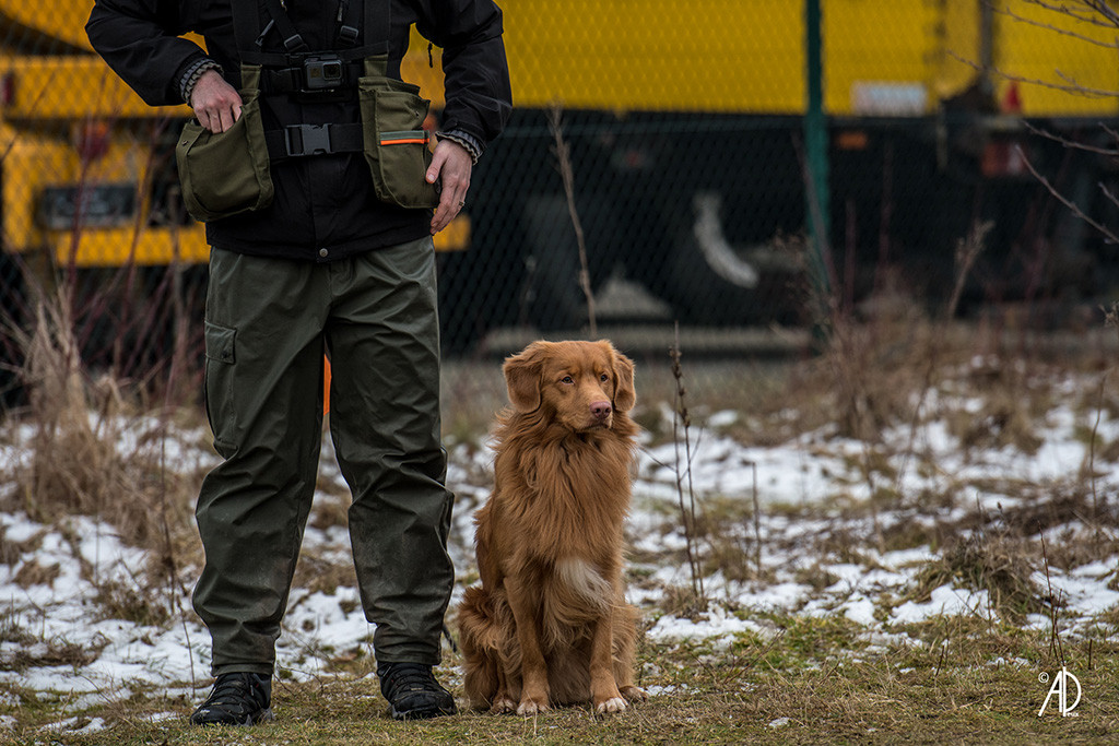 Edison sitzt neben Stephan und schaut aufmerksam nach vorn