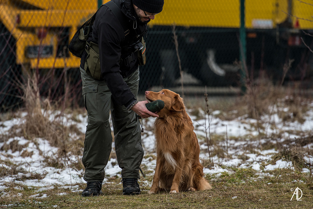 Edison sitzt mit dem Dummy im Fang neben Stephan