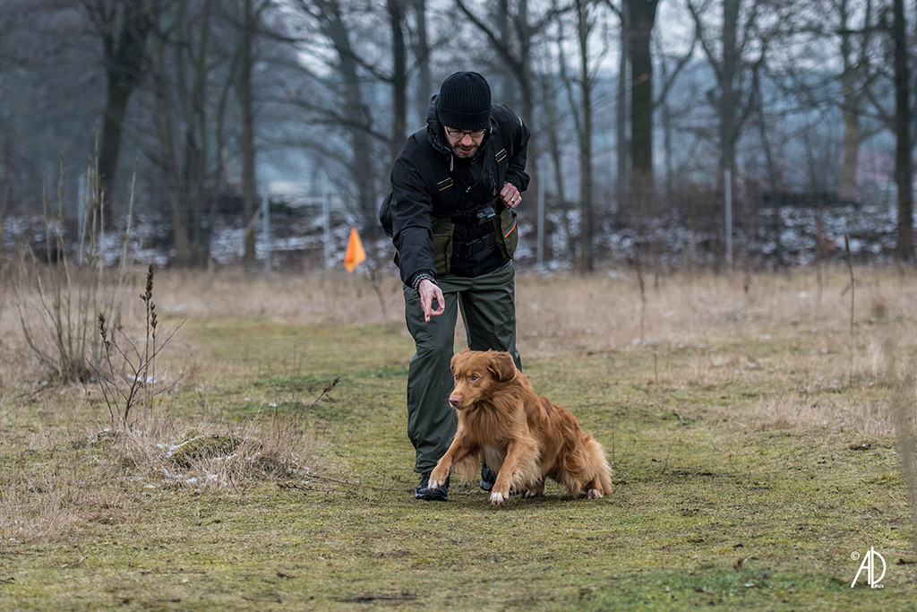 Edison wird von Stephan eingenordet und startet voller Energie durch