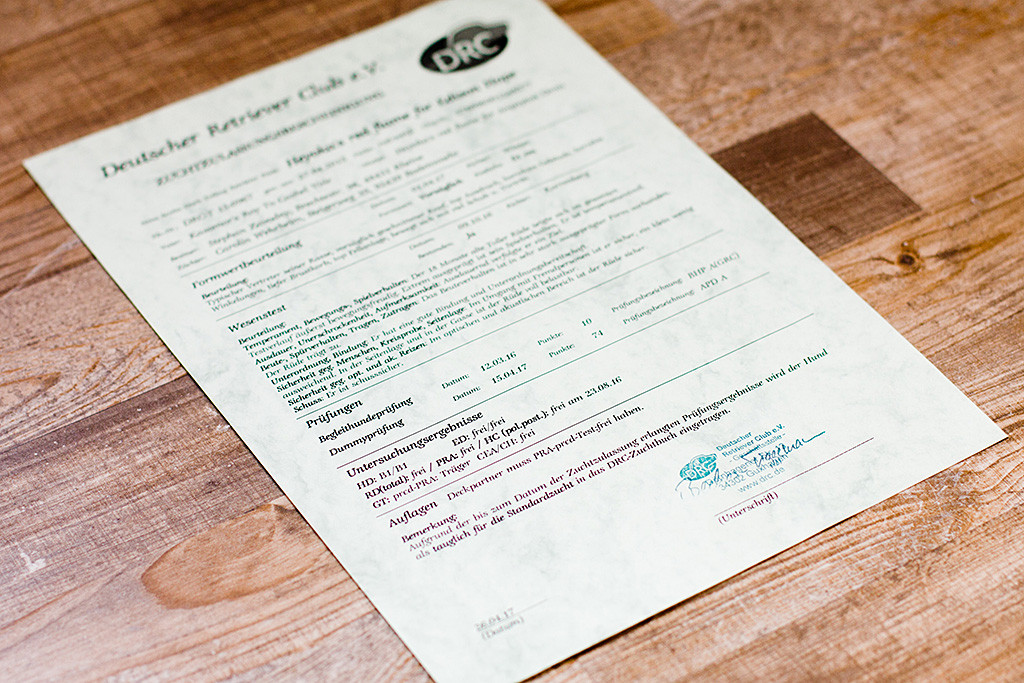 Edisons Zuchtzulassung