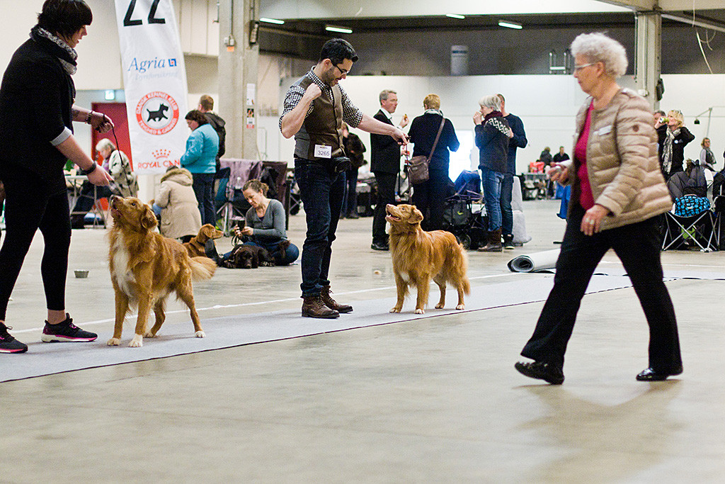 Edison bezieht an der Seite von Stephan als Letzter Aufstellung in der Championklasse
