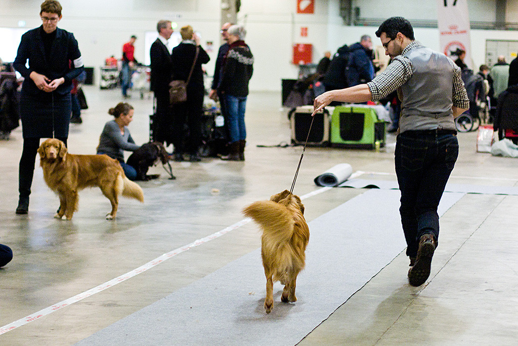 Edison läuft geführt von Stephan auf der geraden Bahn