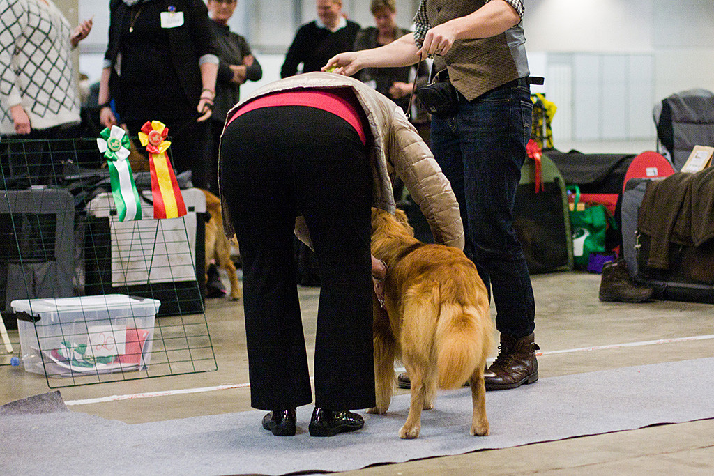 Edison wird von der Richterin abgetastet