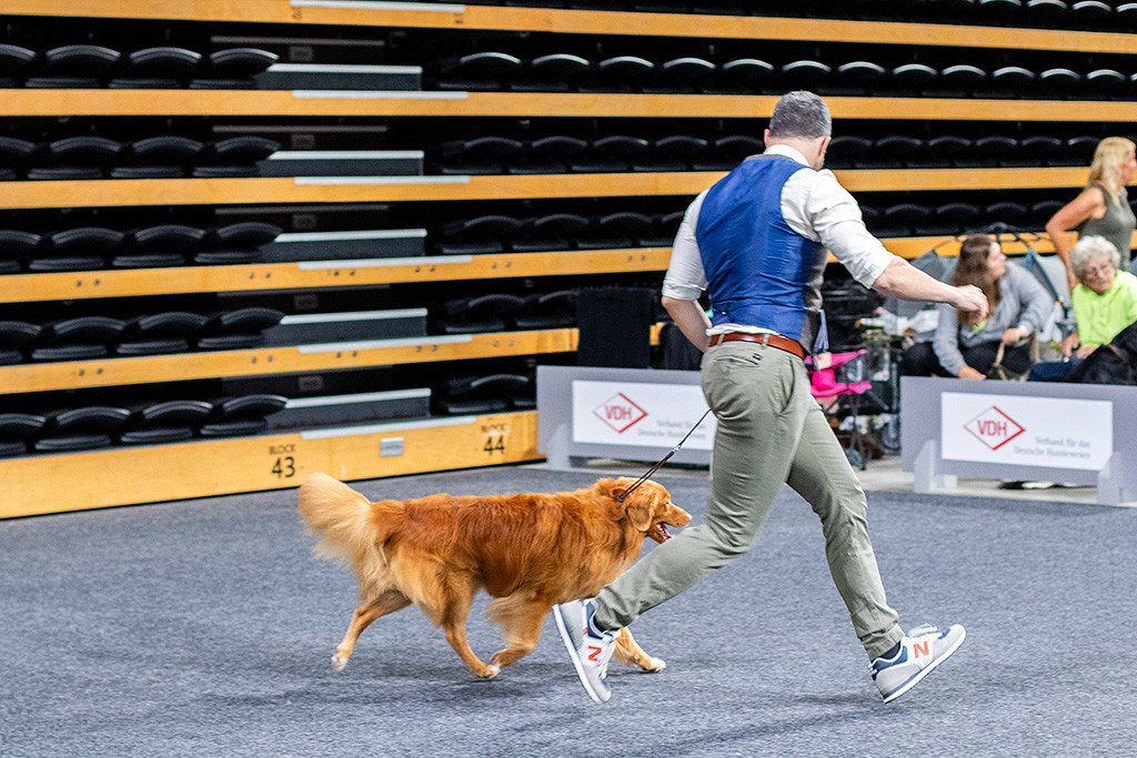 Edison läuft im Kreuzgang auf der Geraden neben Stephan