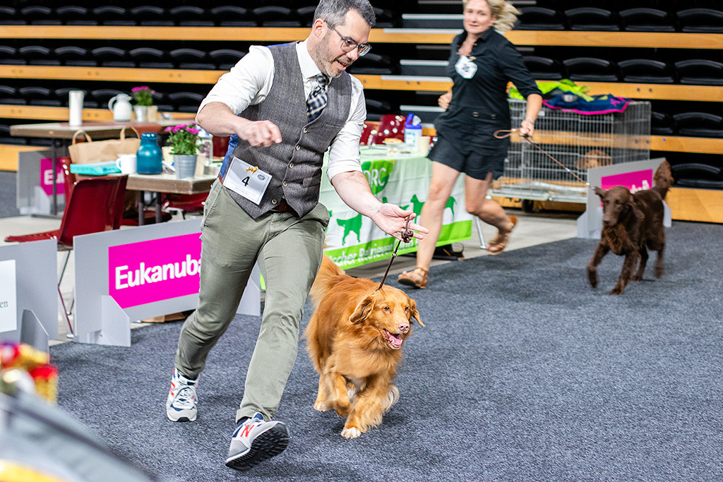 Edison läuft schwungvoll und fröhlich an Stephans Seite durch den Ring