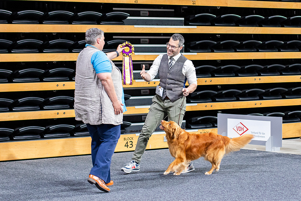 Edison läuft an Stephans Seite auf die Richterin zu, die ihm die Best Veteran Schleife überreicht