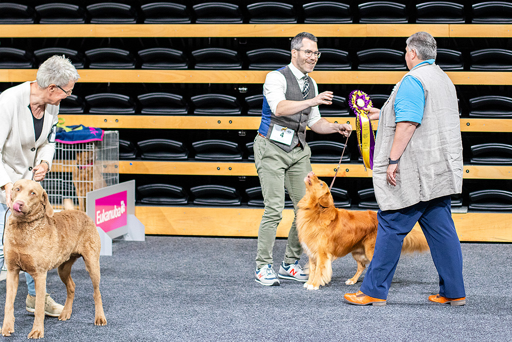 Edison steht zwischen Stephan und der Richterin, die die Best in Show Schleife überreicht