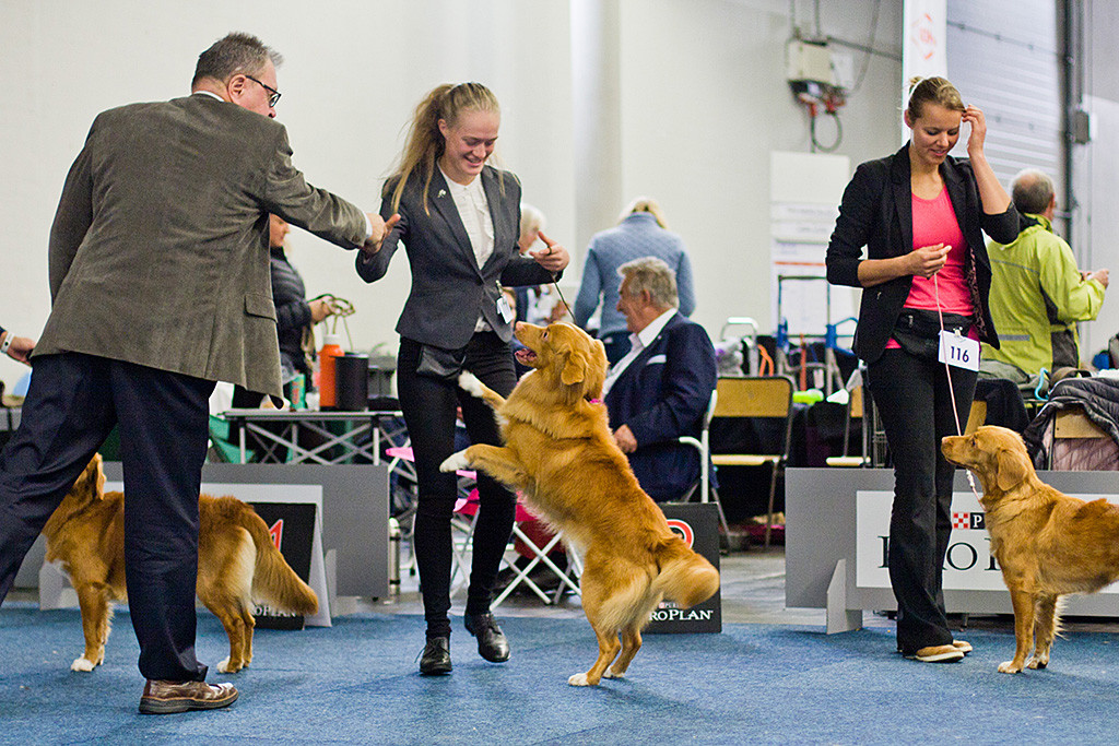 »Seawild’s Born To Perform« freut sich mit ihrer Führerin über den Tagessieg