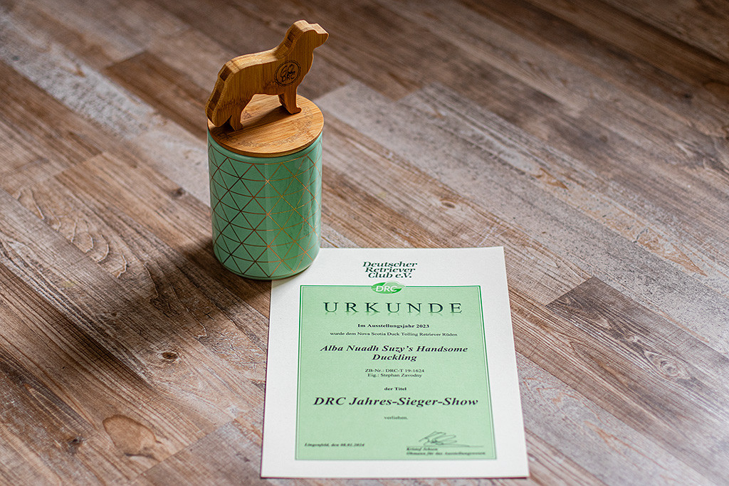 Newtons Urkunde und Trophäe zum DRC Jahres-Sieger-Show 2023