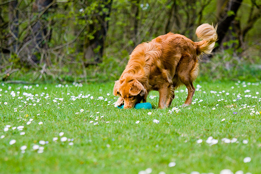 Edison nimmt den Dummy auf