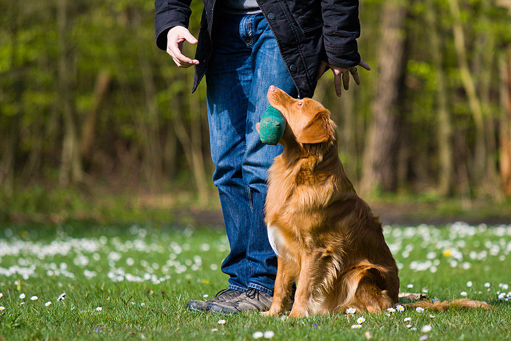 Edison sitzt neben Stephan und möchte den Dummy abgeben