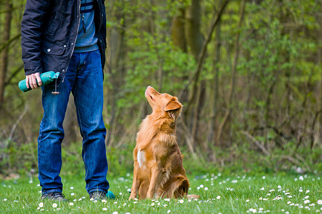 Edison schaut Stephan nach der Dummyabgabe an