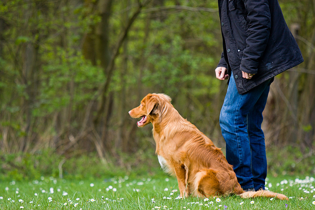 Edison blickt an Stephans Seite gespannt nach vorn