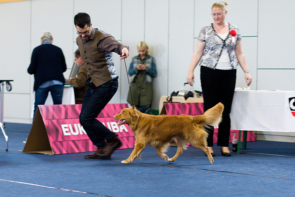 Edison läuft unter Beobachtung der Richterin mit Stephan durch den Ring