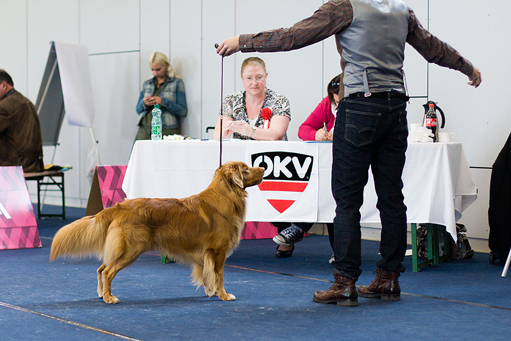 Edison steht vor dem Richtertisch während die Richterin ihn genau mustert