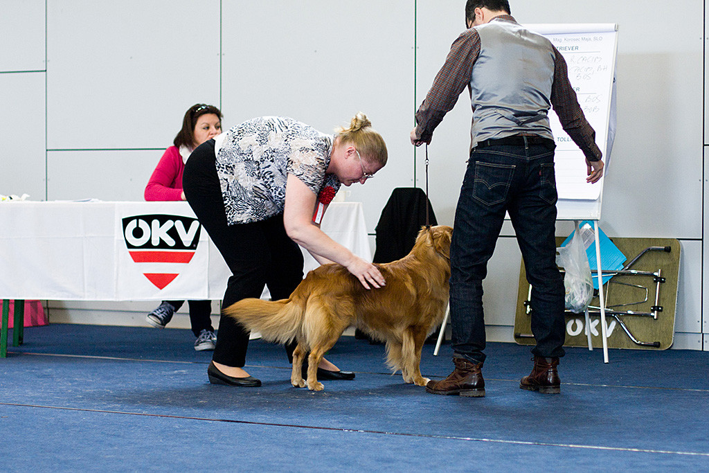 Edison wird von der Richterin Maja Korošec abgetastet, Stephan steht davor