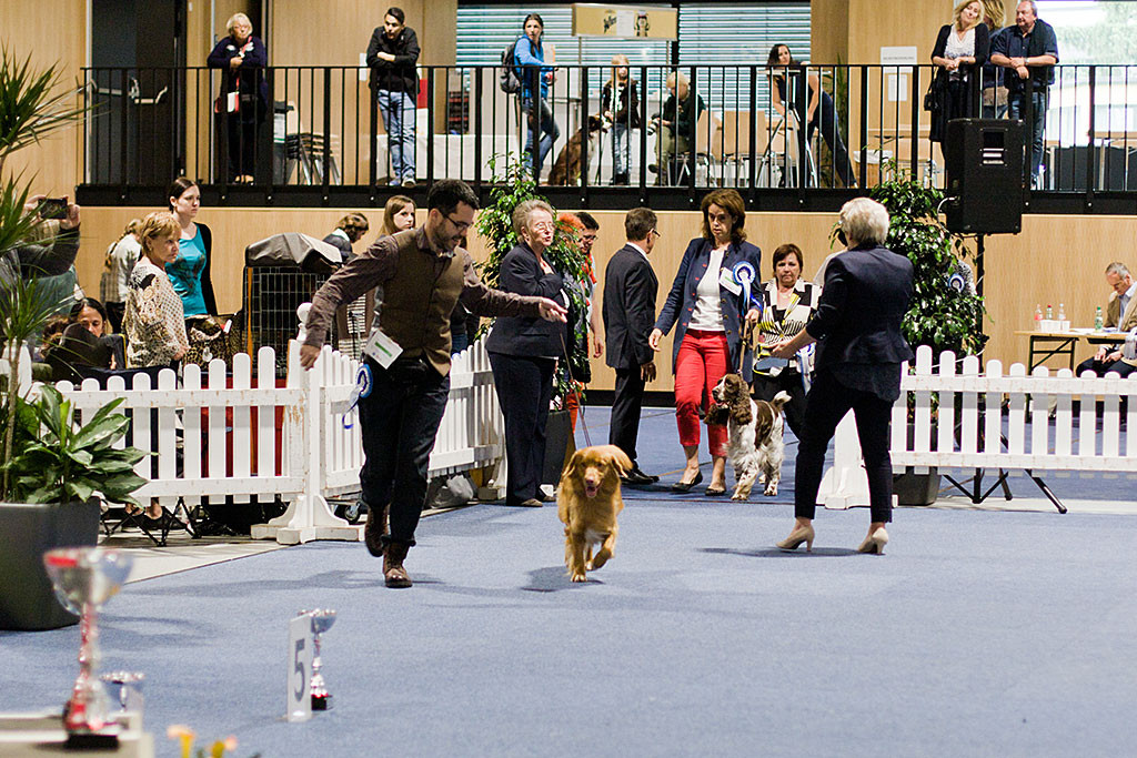 Edison läuft geführt von Stephan in den Ehrenring ein