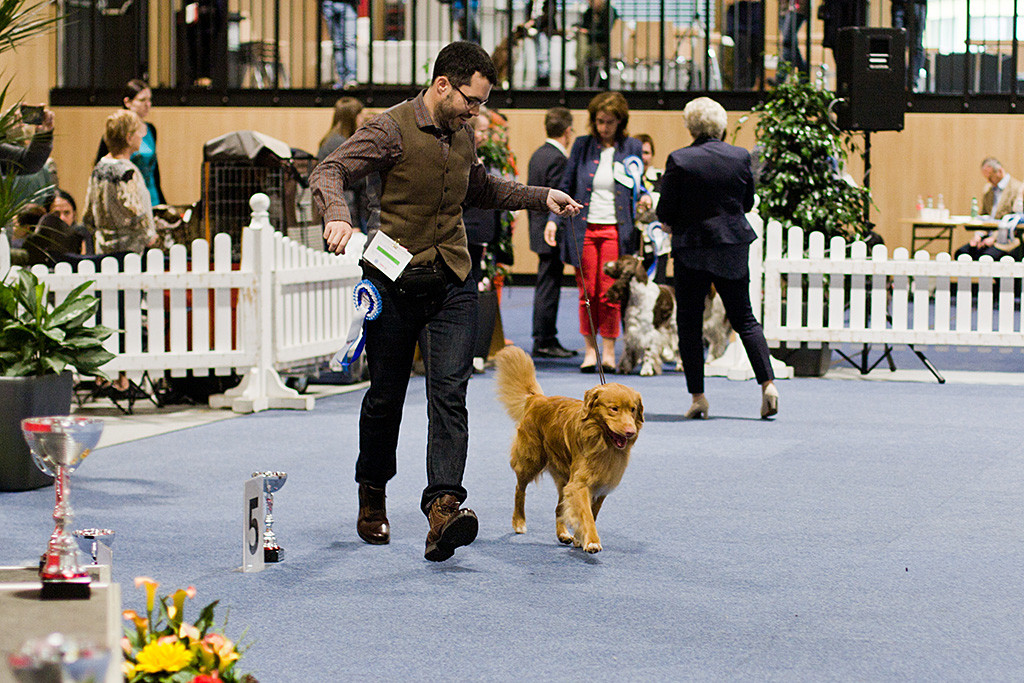 Edison läuft fröhlich an Stephans Seite durch den Ehrenring
