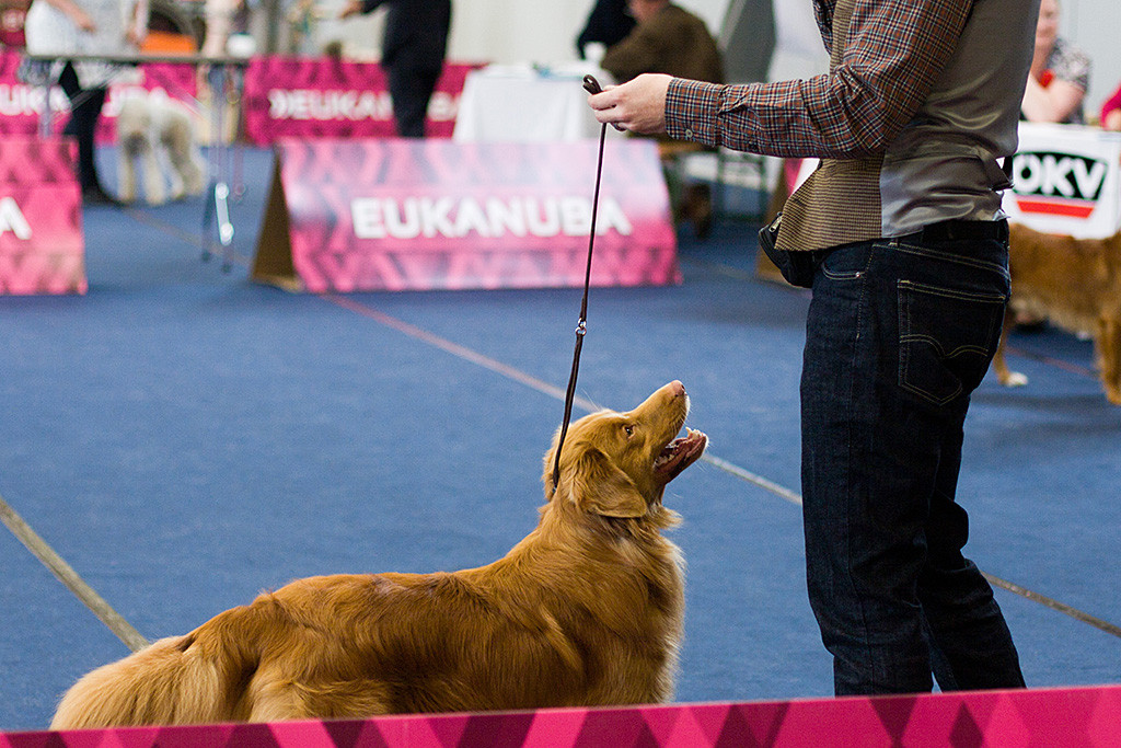 Edison steht vor Stephan und schaut lächelnd zu ihm hoch