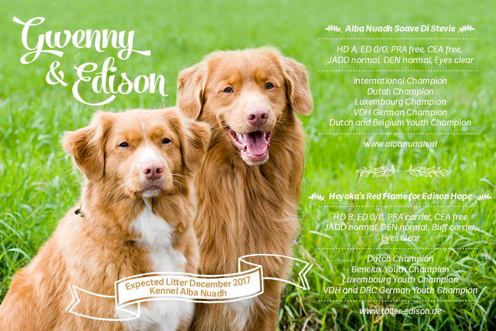 Edison und Gwenny sitzen nebeneinander im Gras