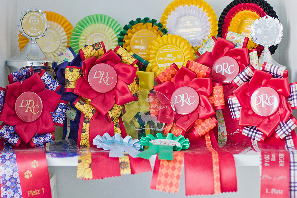 Edisons Errungenschaften auf Ausstellungen in der Jugendklasse