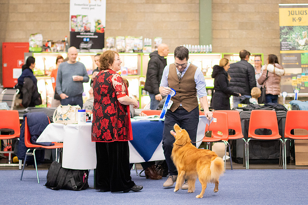 Edison freut sich mit Stephan über die Reserve-CACIB-Rosette, die sie von der Richterin bekommen