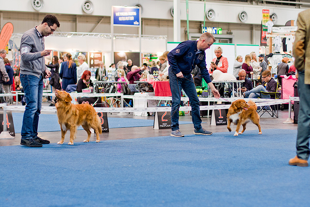 Edison und »Toller’s Delight Special Delivery«