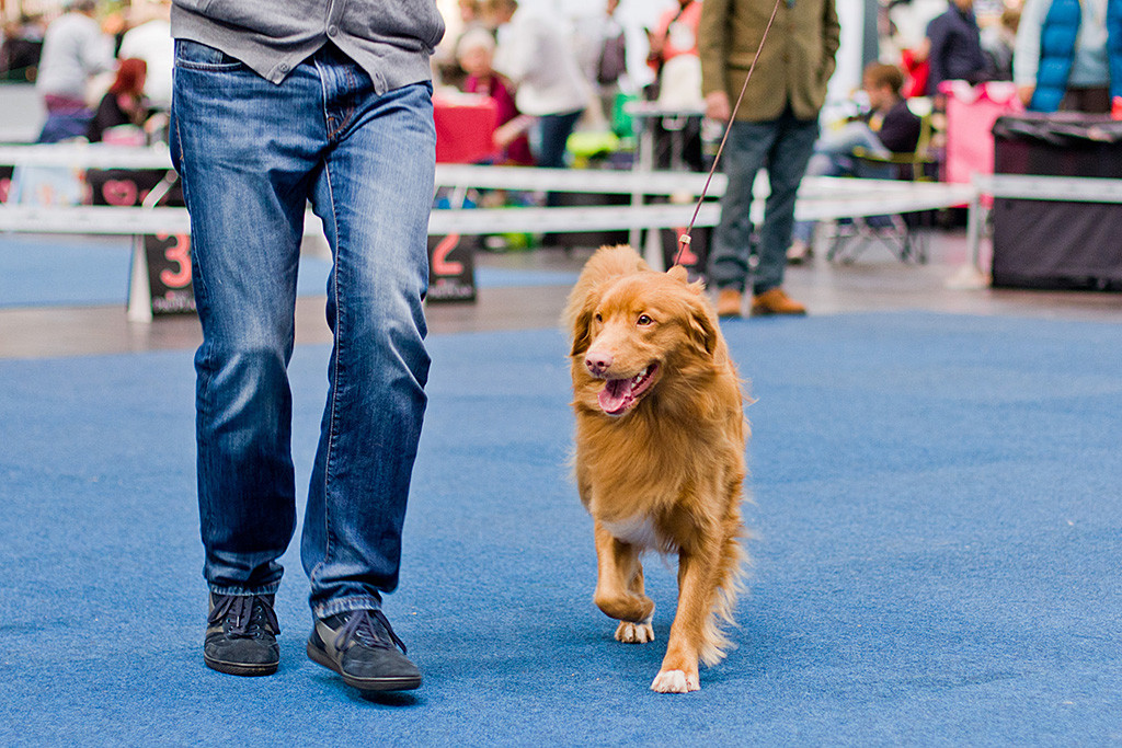 Edison läuft grinsend neben Stephan auf die Kamera zu, im Hintergrund ist der Richter zu sehen