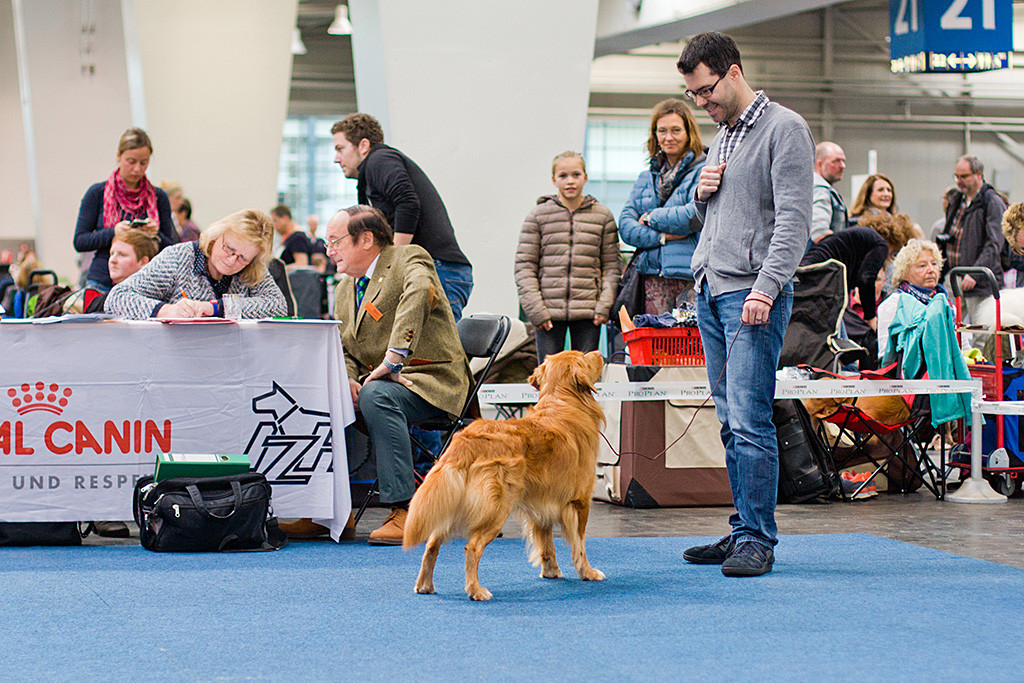 Edison steht vor dem Richterpult, im Hintergrund schauen ihn zwei Zuschauerinnen an, der Richter diktiert seinen Bericht