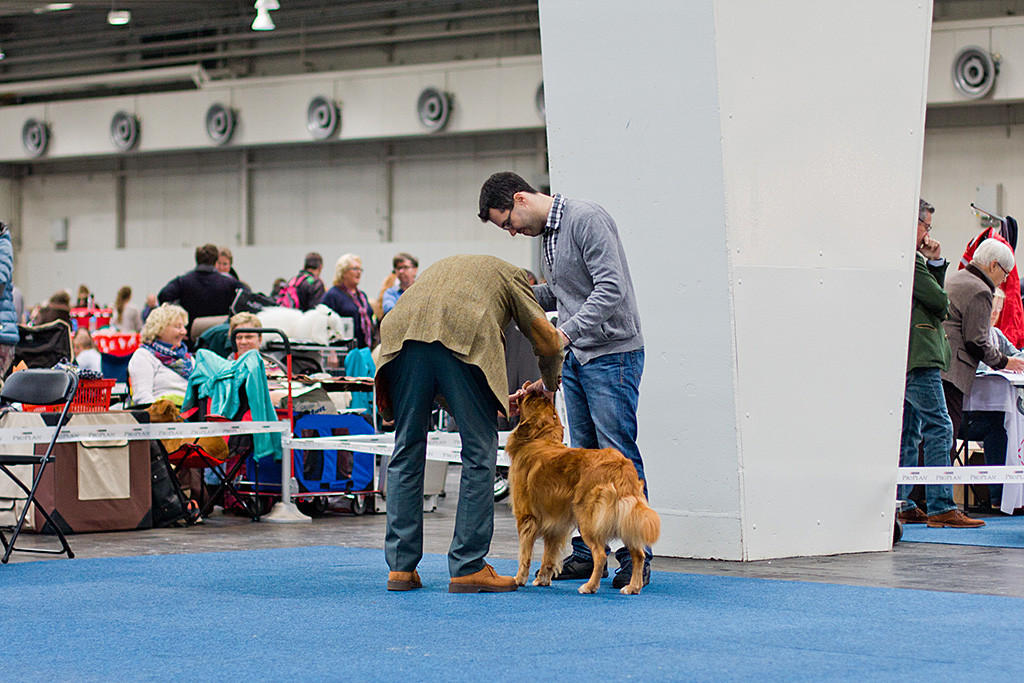 Edisons Zähne werden vom Richter begutachtet, Stephan steht dahinter