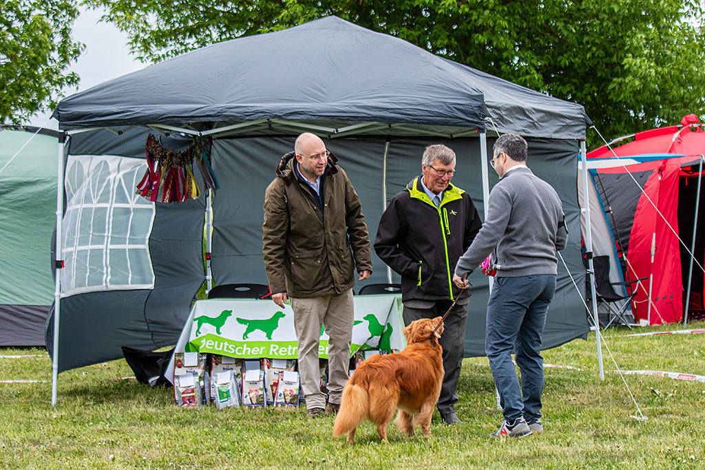 Edison gewinnt die Veteranenklasse, der Richter übergibt die Rosette und freut sich dabei