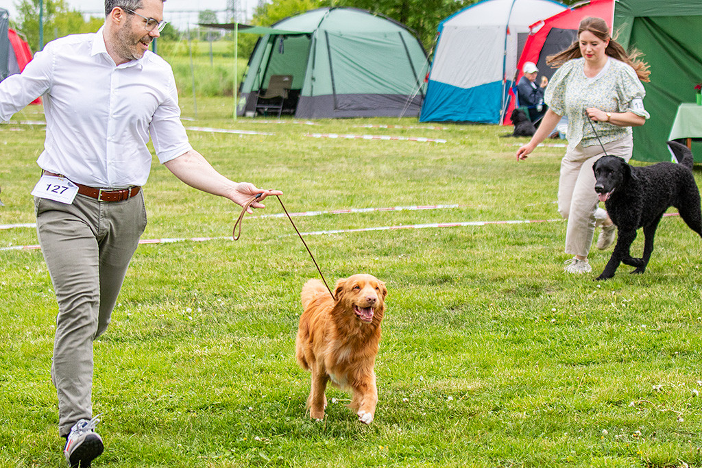 Newton läuft freudig an Stephans Seite durch den Ring, dahinter Ann-Kathrin mit Samu