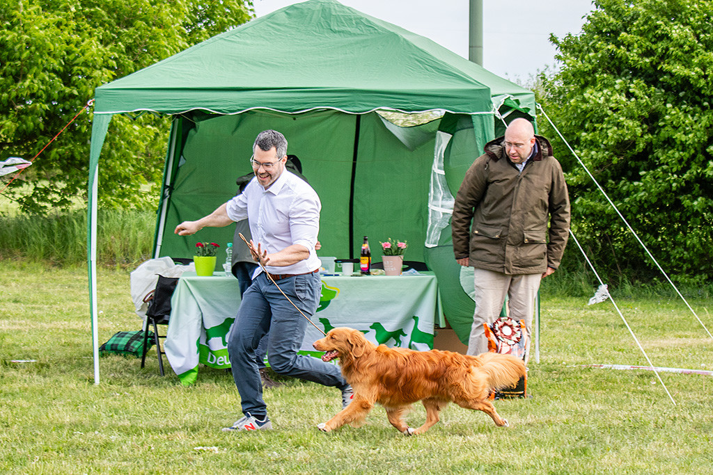 Newton fliegt freudig im perfekten Kreuzgang an Stephans Seite durch den Ring
